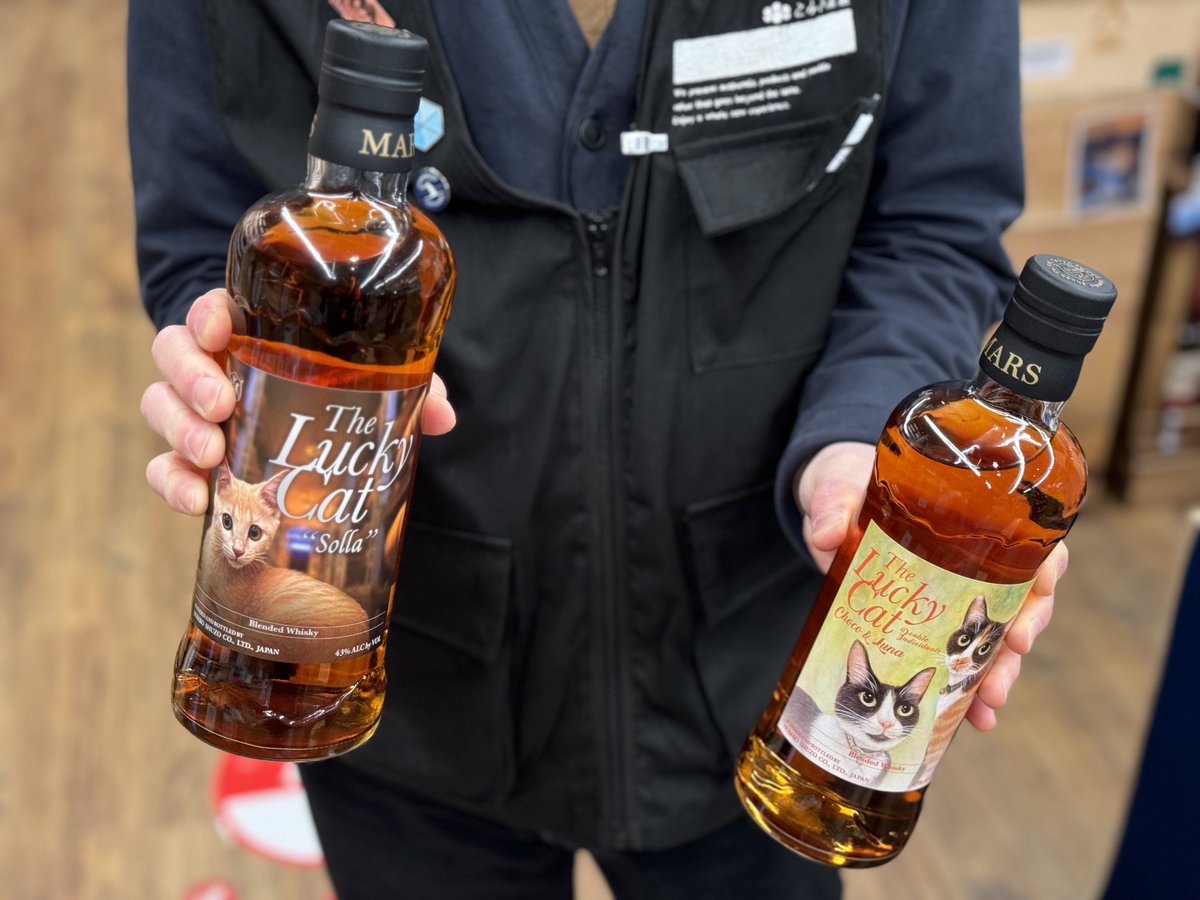 猫ちゃん保護しました🐈 マルス ラッキーキャット ・ソラ ・チョコ