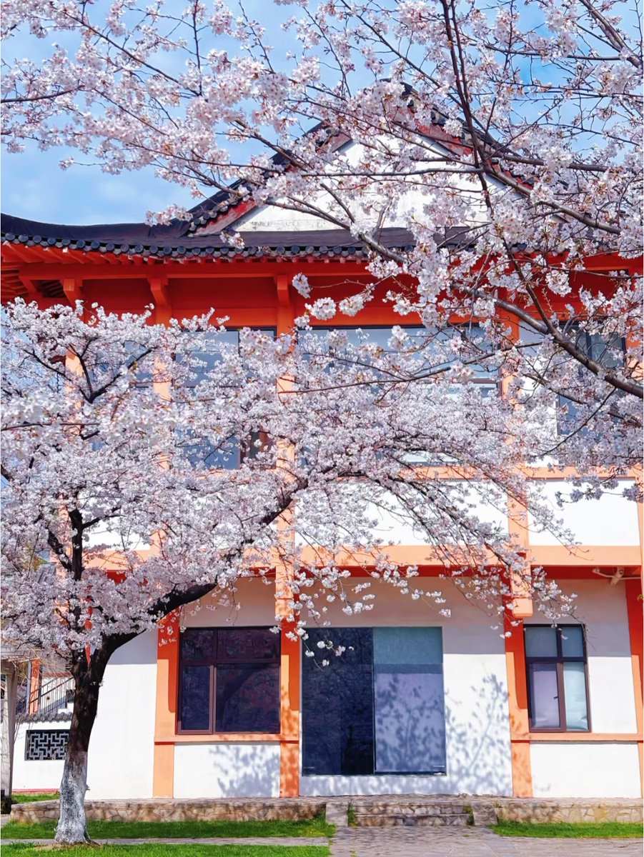 J4sonWong's tweet image. 春游第一站:南京
The first stop of the spring outing: Nanjing
#春游
#springouting