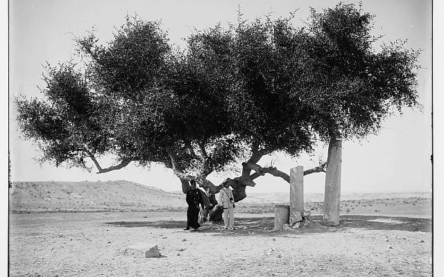Here is the 1931 map of Rafah, where Karim's grandmother apparently lived.

The town of Rafah was built entirely in Egypt, around the train station.

The border is the line running from top right down to bottom left.

As you can see, the Gaza side is sand dunes with a couple of