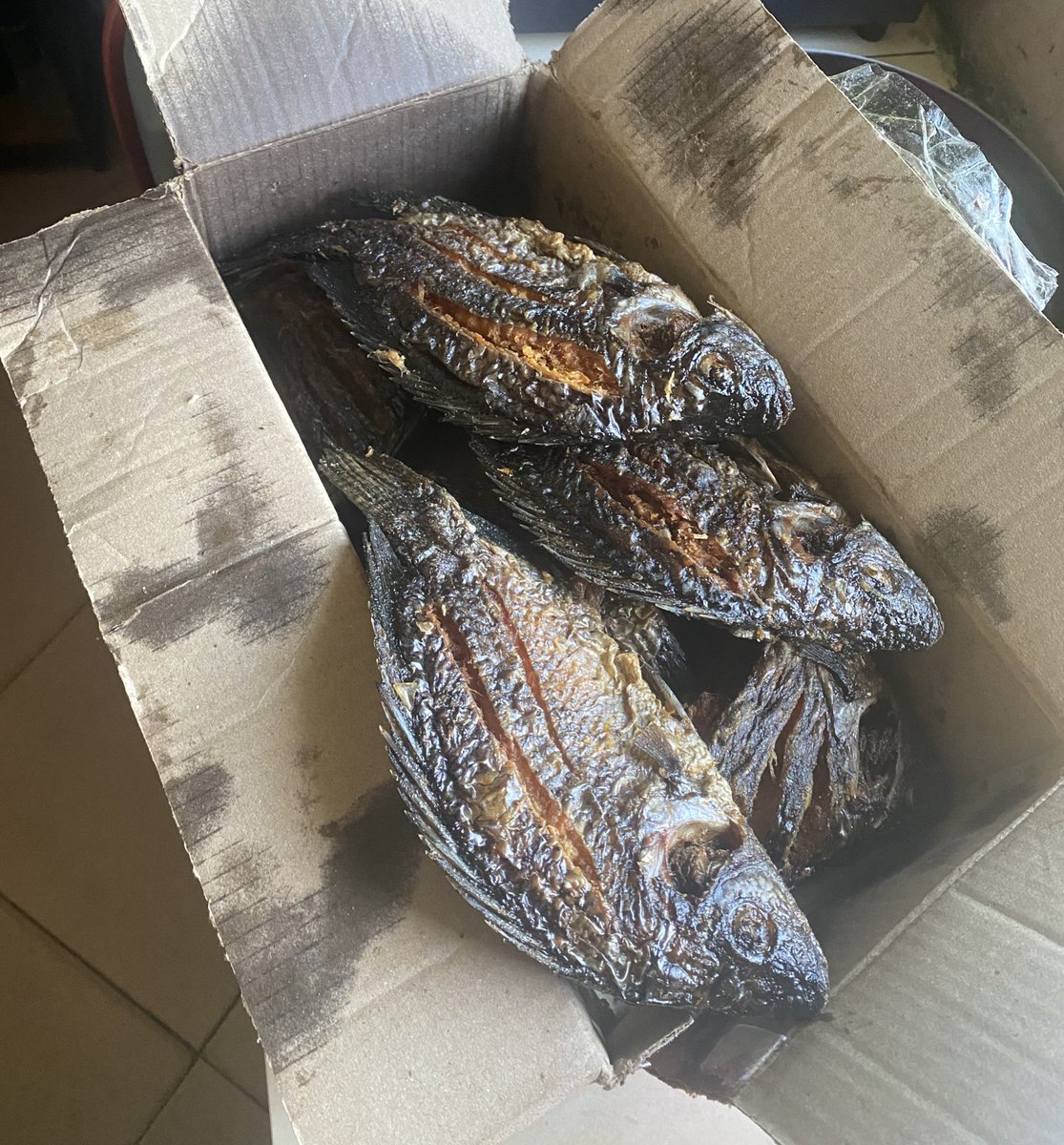 Godfrey Philimon tweet media