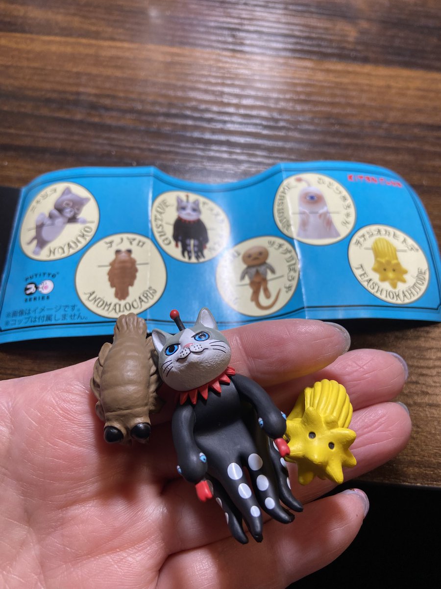 kitaachi's tweet photo. ガチャガチャ好きなのよね〜🩷
ヒグチユウコさんのPUTITTO
ニャンコかギュスターヴくんかひとつめちゃん狙いで3回🤭
狙いじゃなかったアノマロが意外と可愛かったぁ🩷
ひっかけよ〜😆💕
#ヒグチユウコ
#PUTITTO
#ガチャ https://t.co/59CWLulQLT