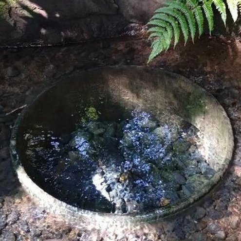 ひろと tweet media