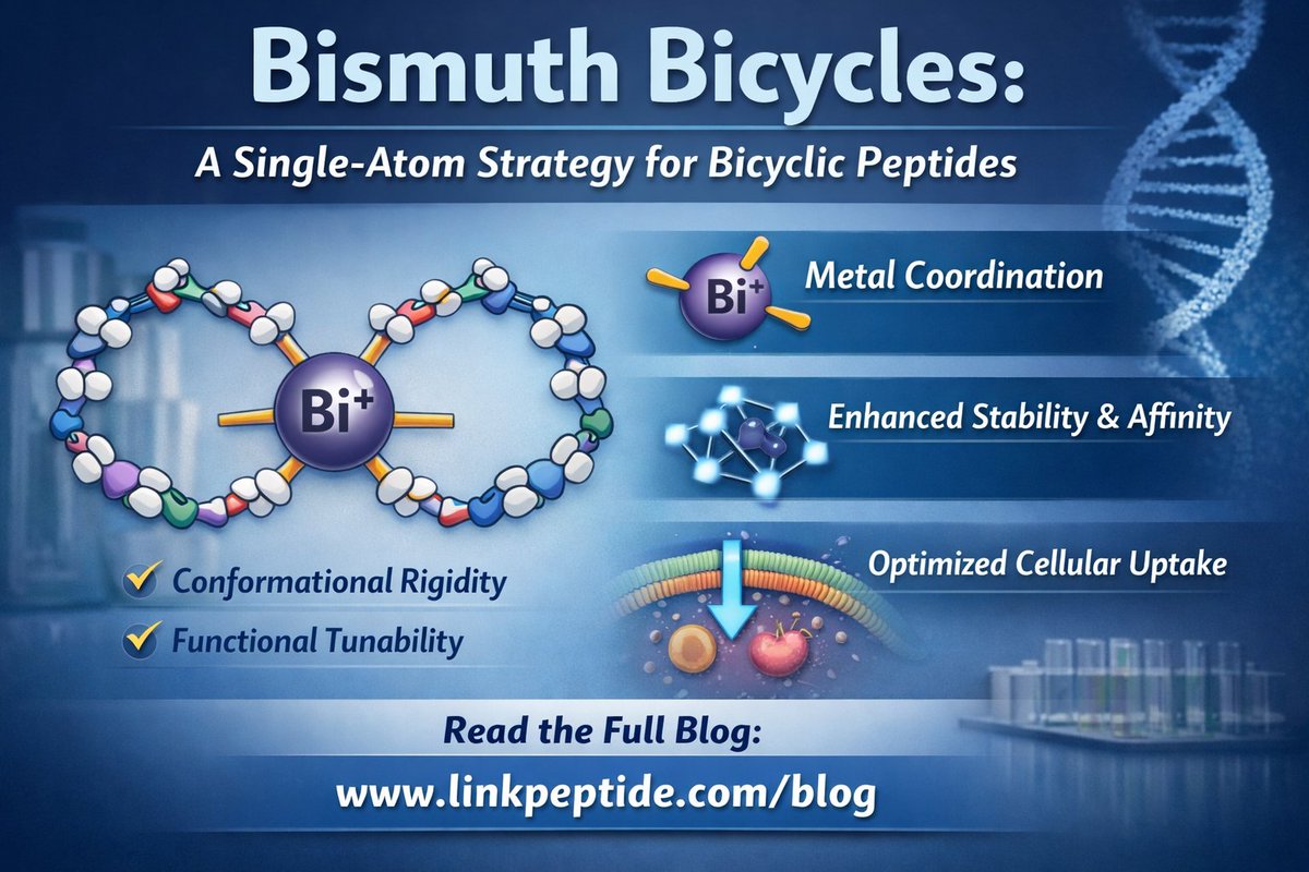 Linkpeptide's tweet photo. Bicyclic peptides continue to gain traction in drug discovery.
Our latest blog discusses a bismuth-based, single-atom crosslinking strategy for generating rigid, next-generation peptide scaffolds.
 https://t.co/zdFj5Kk5TQ
#MacrocyclicChemistry #ChemicalInnovation #PeptideScience https://t.co/amDED9lcoK