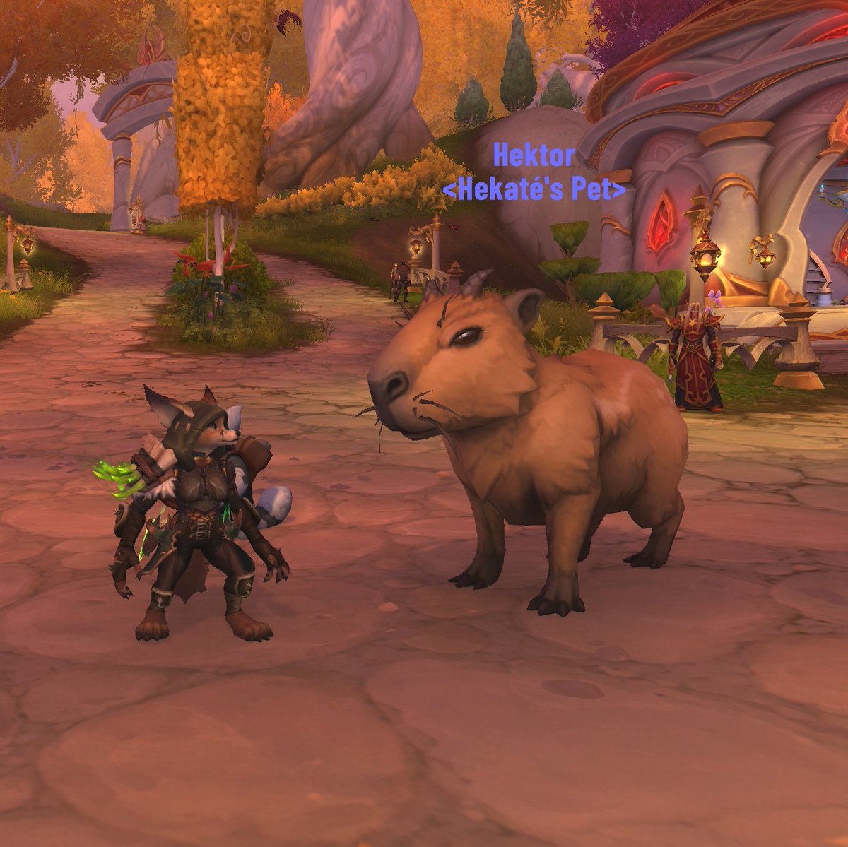 I love wow, and having hunter pets bigger than my character