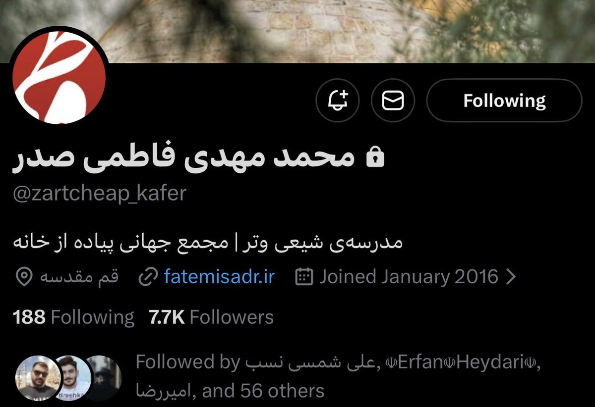 مجید tweet media