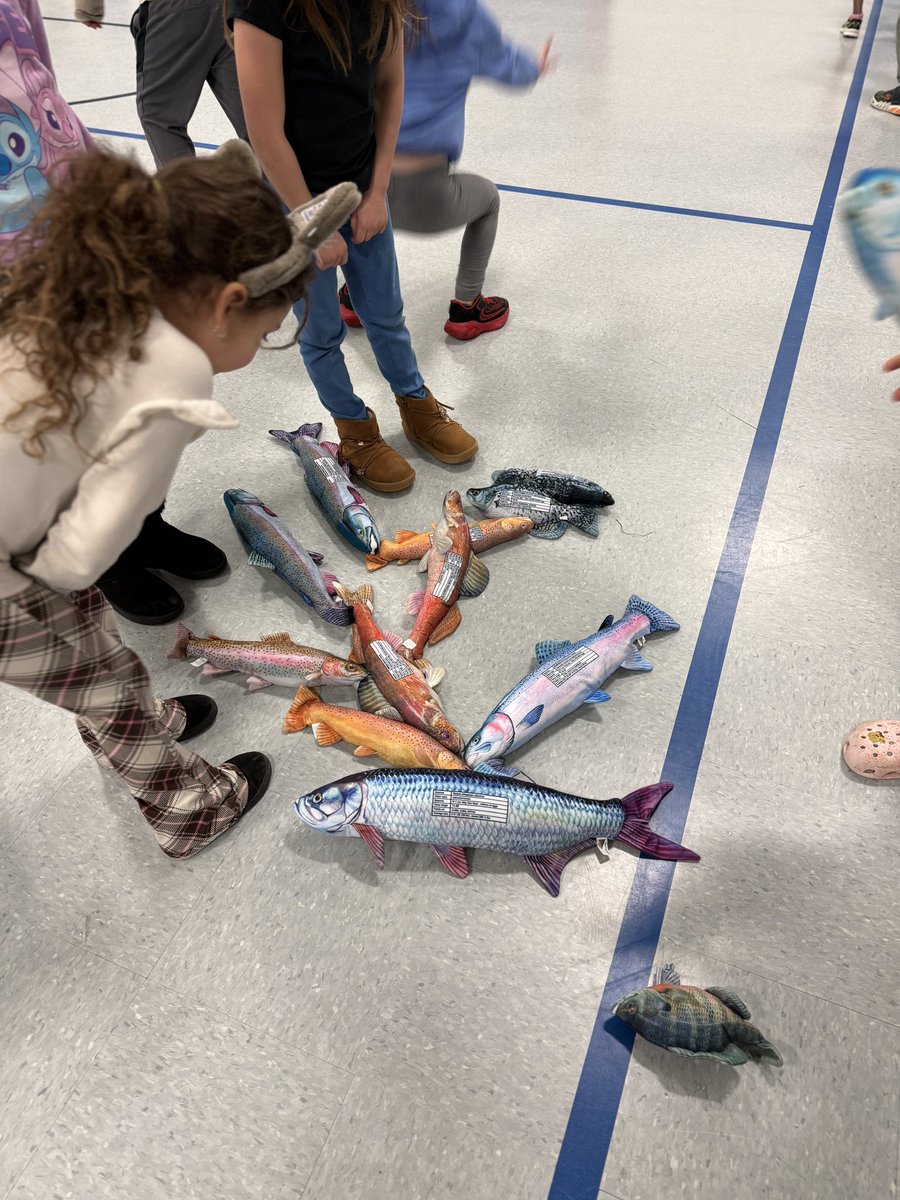 Mike Chamberlain tweet media