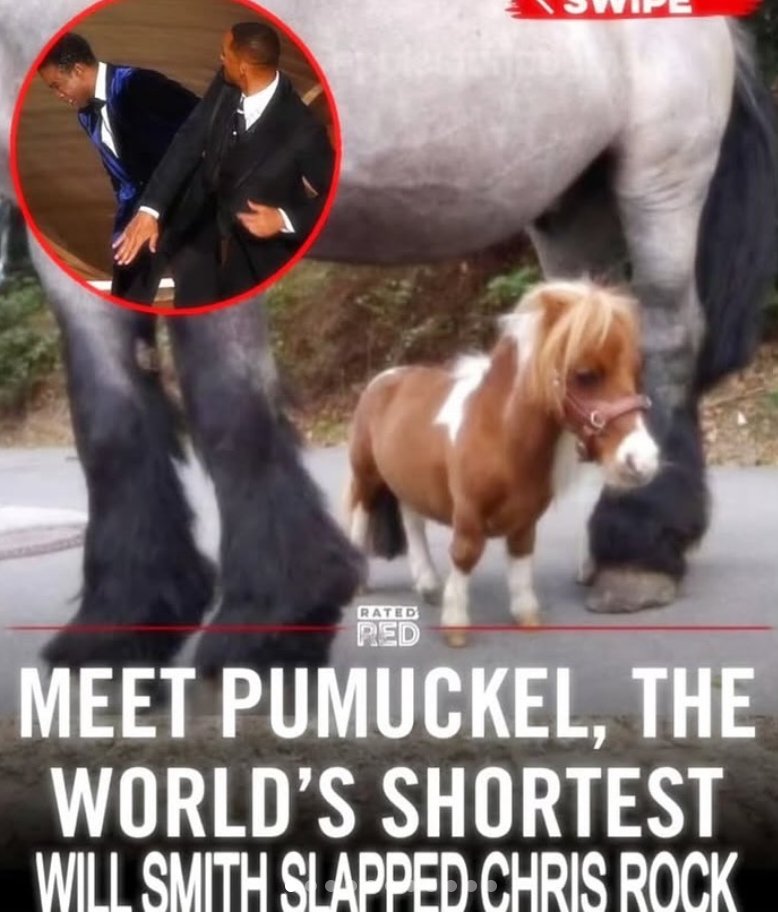 media from the camera roll of a closeted gay man tweet media