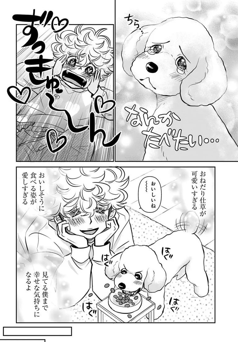 🔔更新情報🔔
『DOG SIGNAL』(作:みやうち沙矢@DogSignal)
第61話③を公開しました!
おねだり仕草が可愛すぎる…💘どうぞお楽しみください!
https://t.co/Vvr74hnWP0
#カドコミ #コミックブリッジ #うちのこシグナル