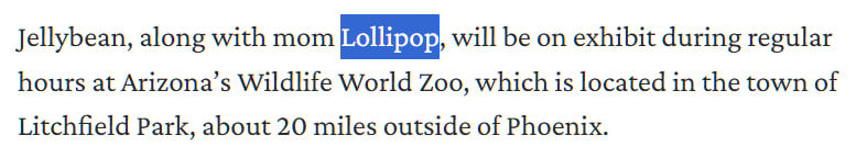 first $lolipop, jellybean's mom?  

6byVQcig5Y5GZ3Yuqncnf9syrRBsRrJDW7cjBTNZpump

$jellybean