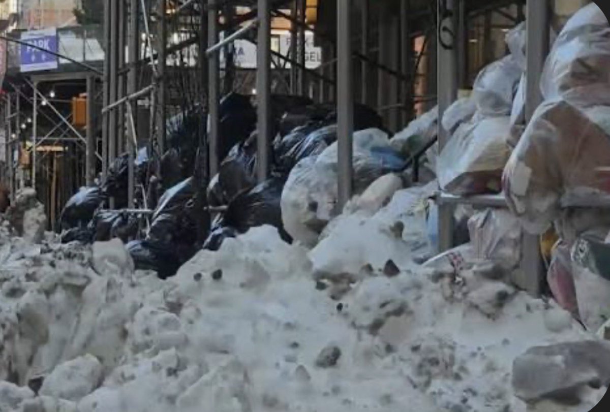 Agent Honeybee 🍊 tweet media