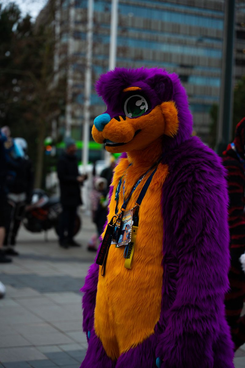 Happy fursuit Friday everyone :3 hope you have a great weekend.

🧵 <a href="/Bloodng0ld/">Cassidy ☆</a> and <a href="/Fur_Delicious/">FurDelicious</a>
📷 <a href="/Zeratrem/">Zeratrem</a>

#fursuit #furry #fursona #fursuitfriday