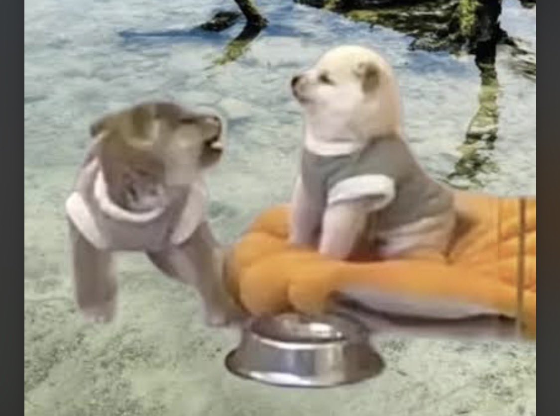 Oriana 🤬 - Lupita 👸🏻
No importa que día veas esto, siempre será así 😌💅👠👑
#LCDLF6 #LupitaJones #TeamReinaMadre