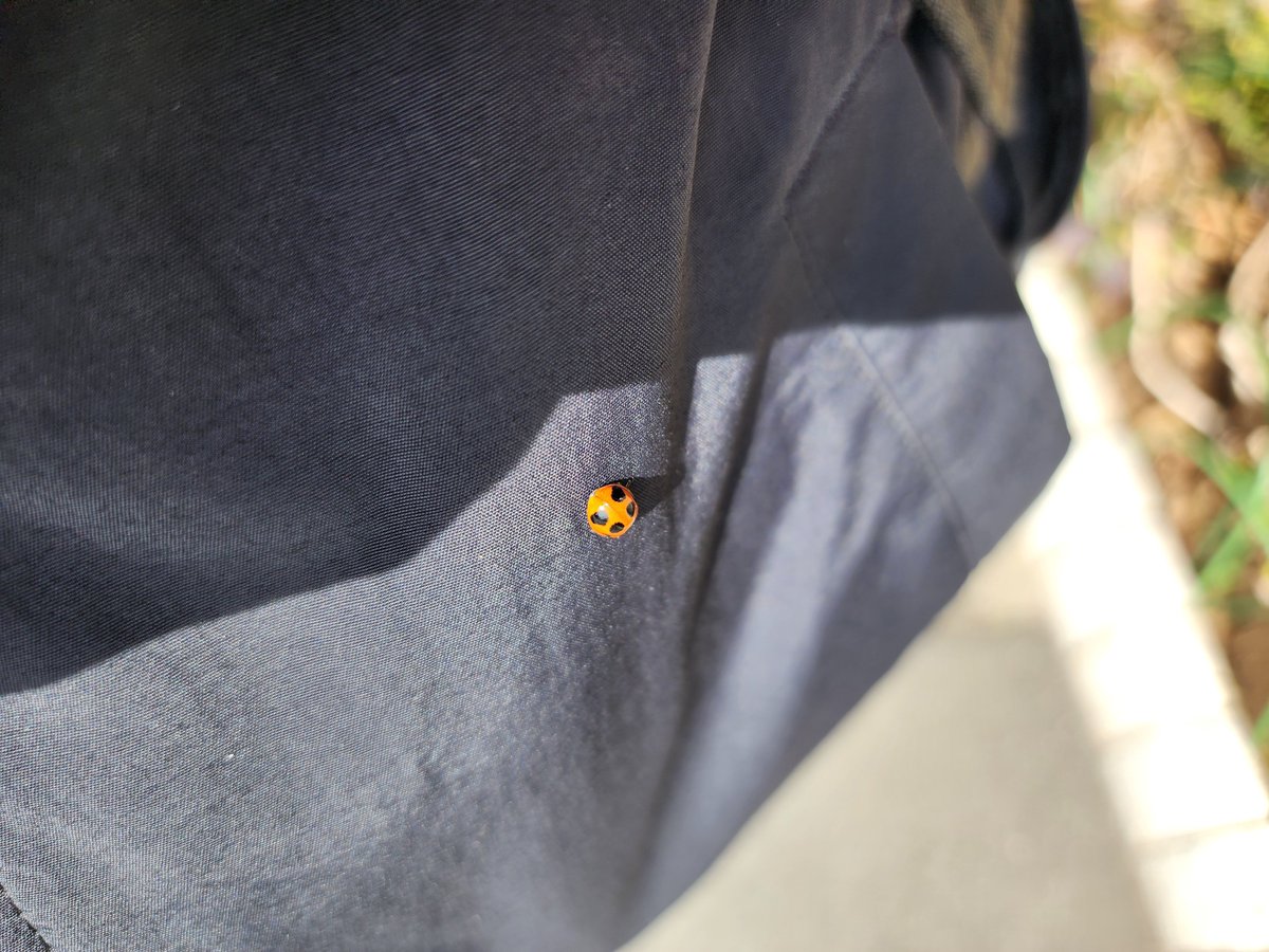 えーすけ (@aceke2_) / Posts / X