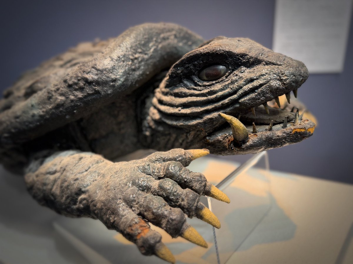 🐢ガメラクイズの正解は… 『宇宙怪獣ガメラ』の飛びガメラ 宇宙怪獣