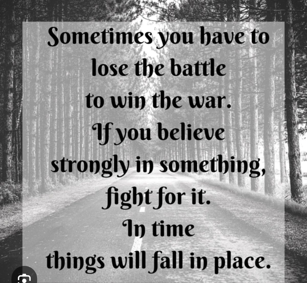 Nate Kees tweet media