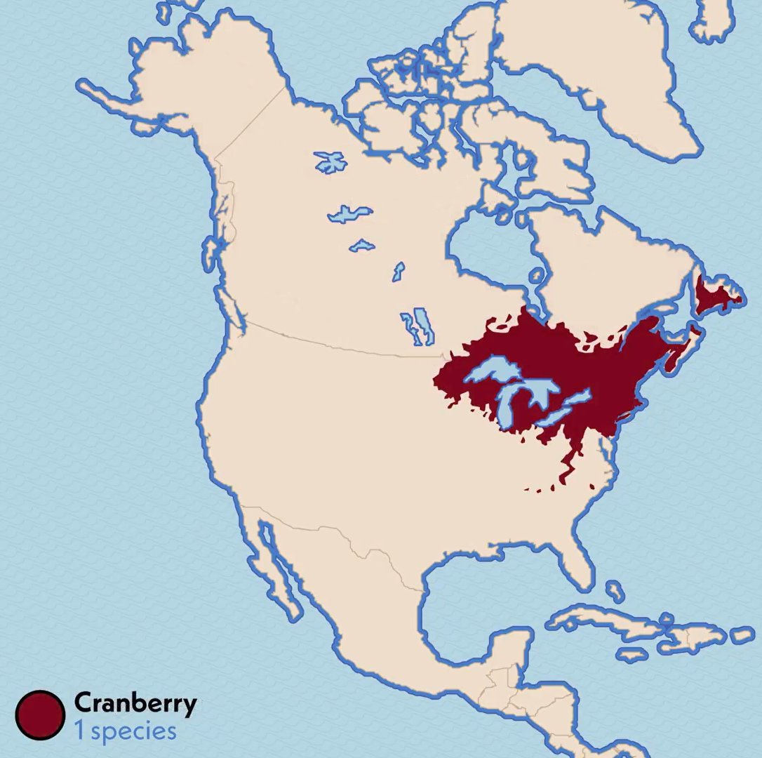 babbworks's tweet photo. Cranberry country. https://t.co/Ca1MOaV3I4