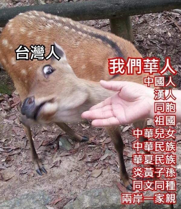 a-tiong-á 🪷 tweet media