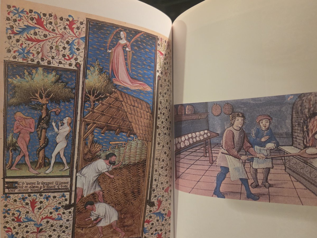 Obsessed with this book on medieval foods &amp; feasts I was given for Christmas