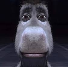 Rafael Araneda rapeando