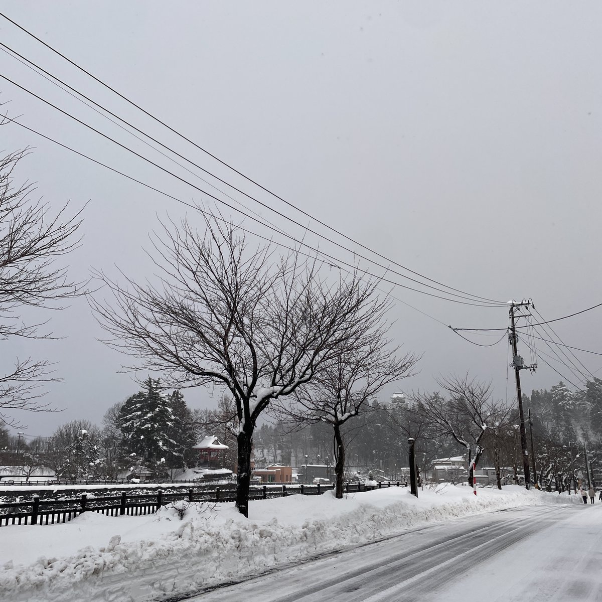 Activ8 Inc. 広報 tweet media