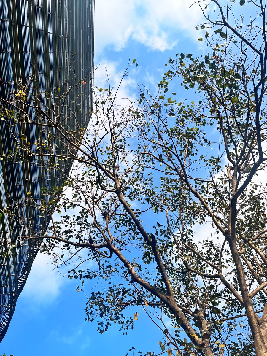 Soumya Gupta tweet media