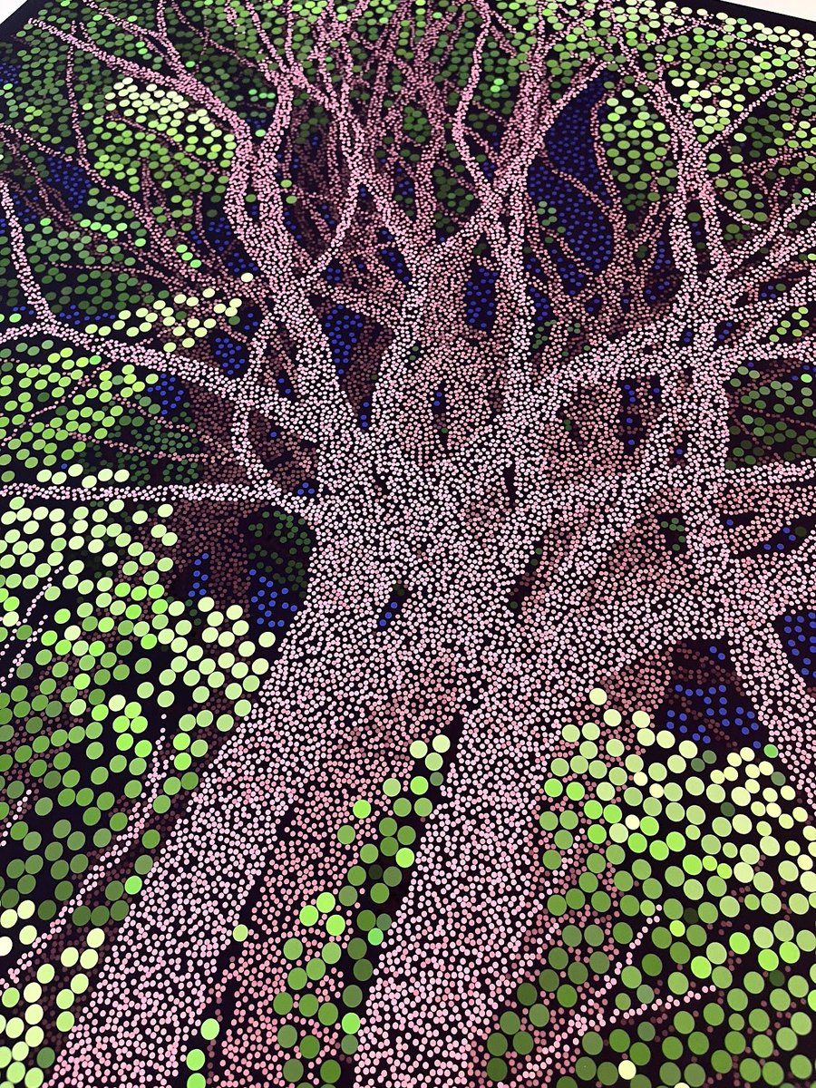 (DCA) Daniel Calderon Arenas tweet media