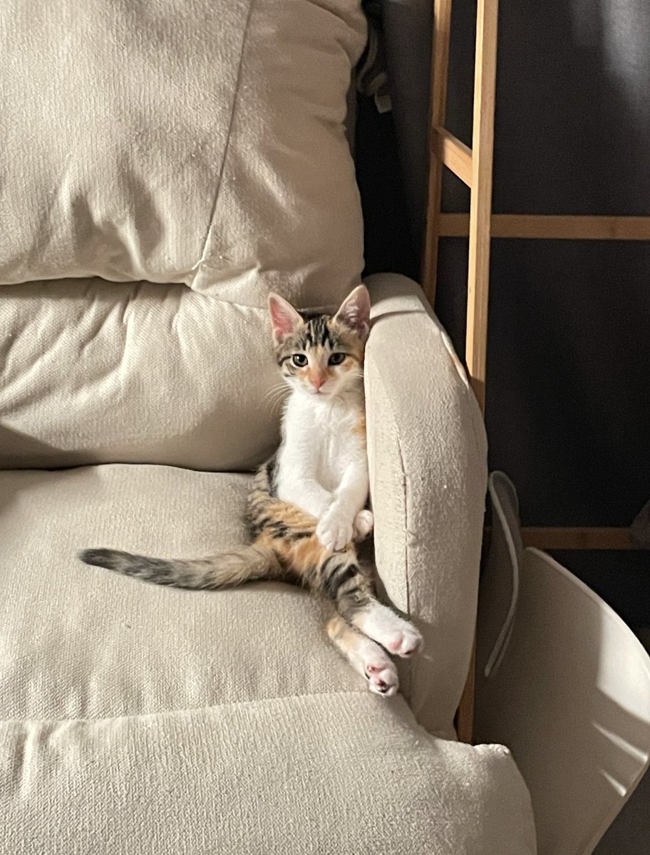 Who is it sitting waiting for