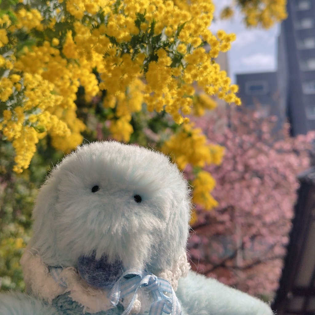 カネヒラ (@simainusima) / Posts / X