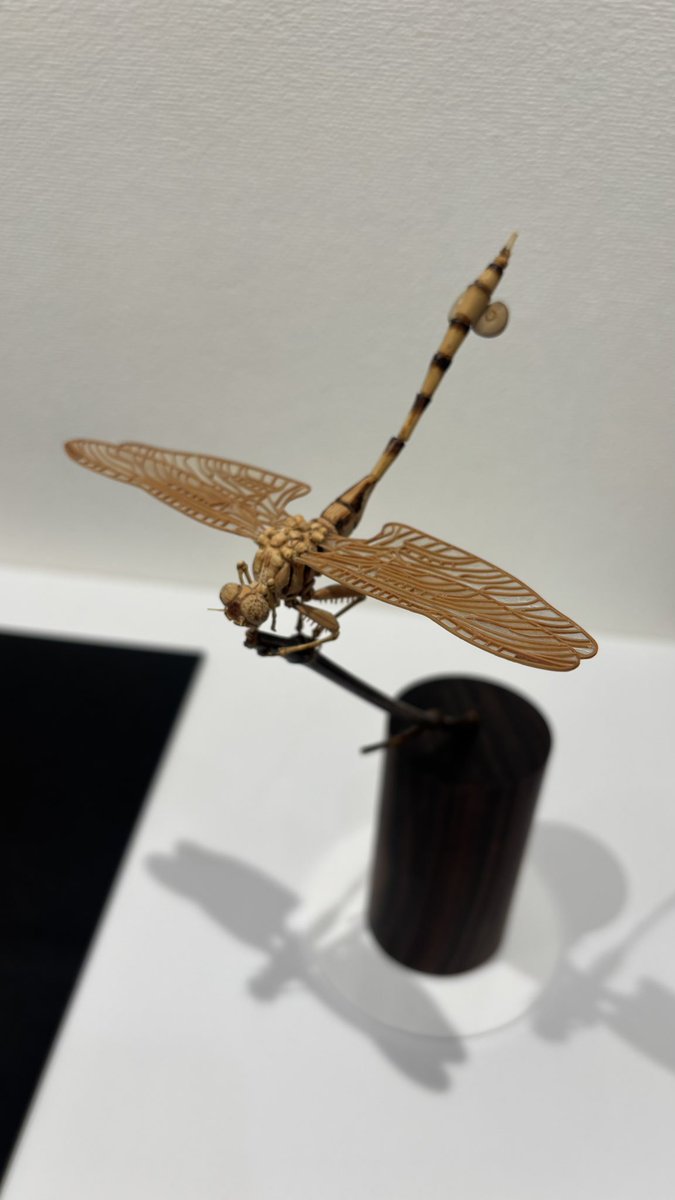 今日からトンボの作品が2点追加されました！ ______ 齋藤徳幸個展
