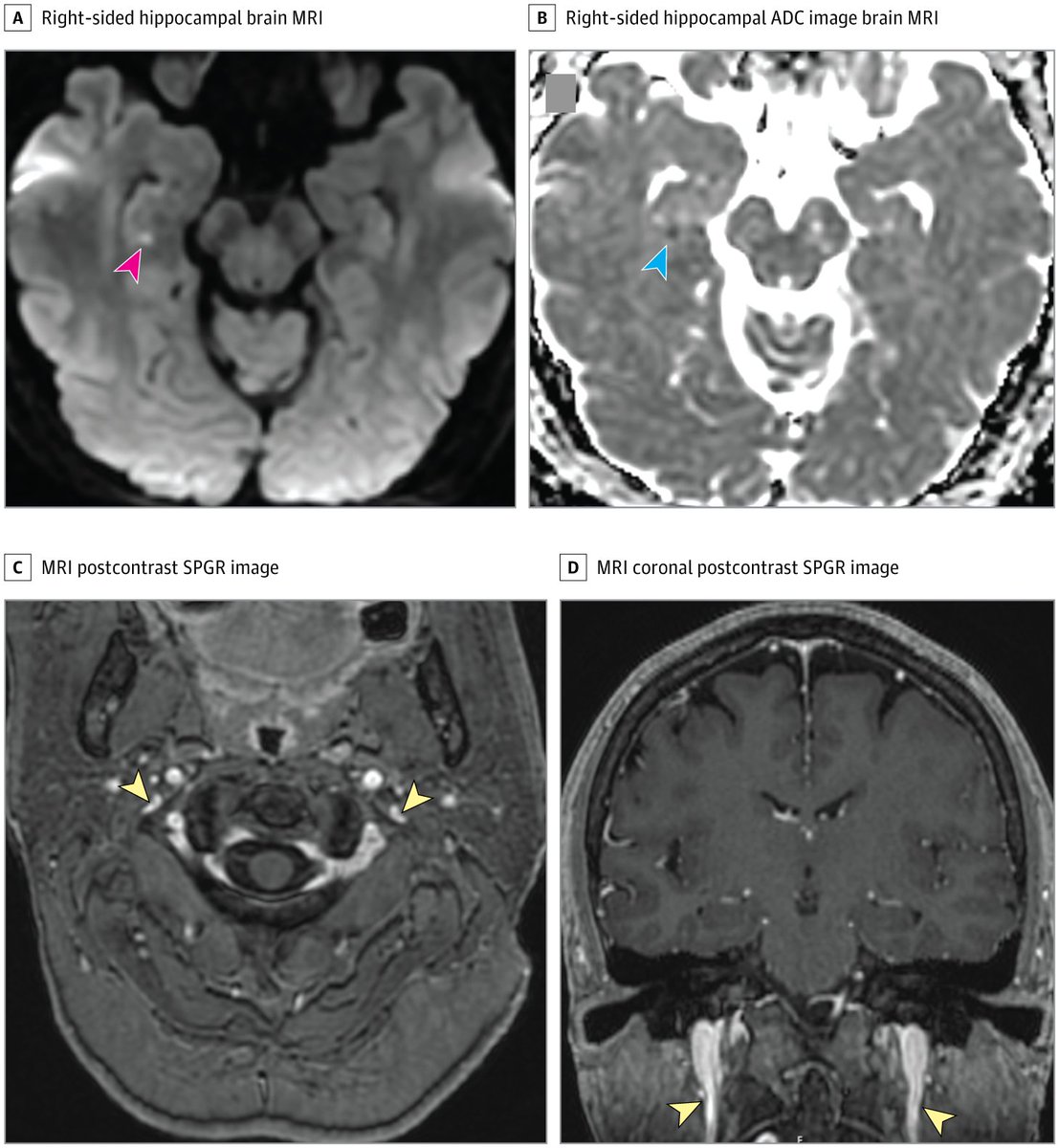 JAMA Network Open tweet media