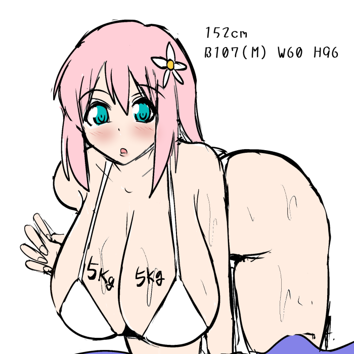 だいたいあってるっぽい重さ 