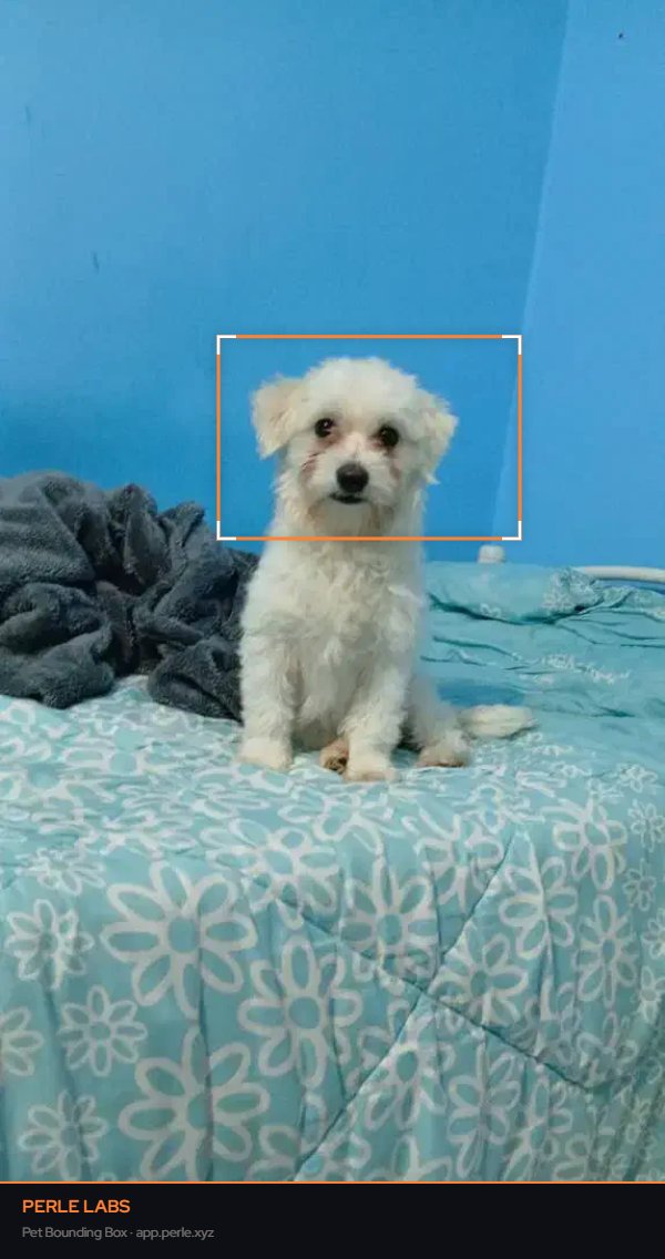 Ali | 𝔽rAI ⌘ Tabi π² base.eth 🌶️ tweet media