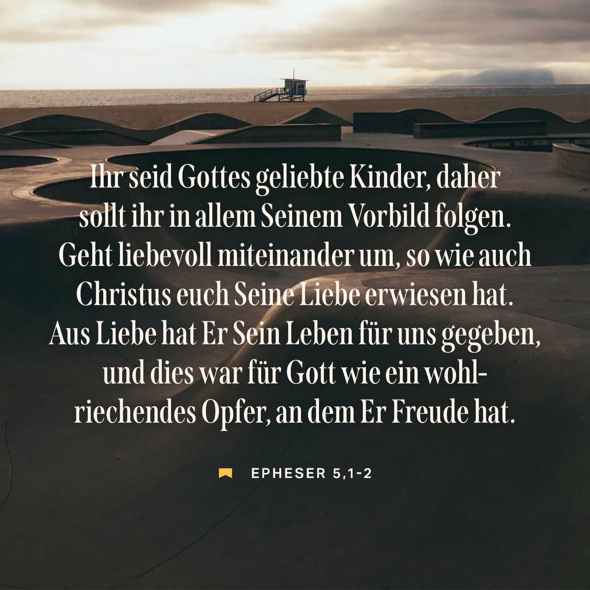 bible.com/verse-of-the-d…