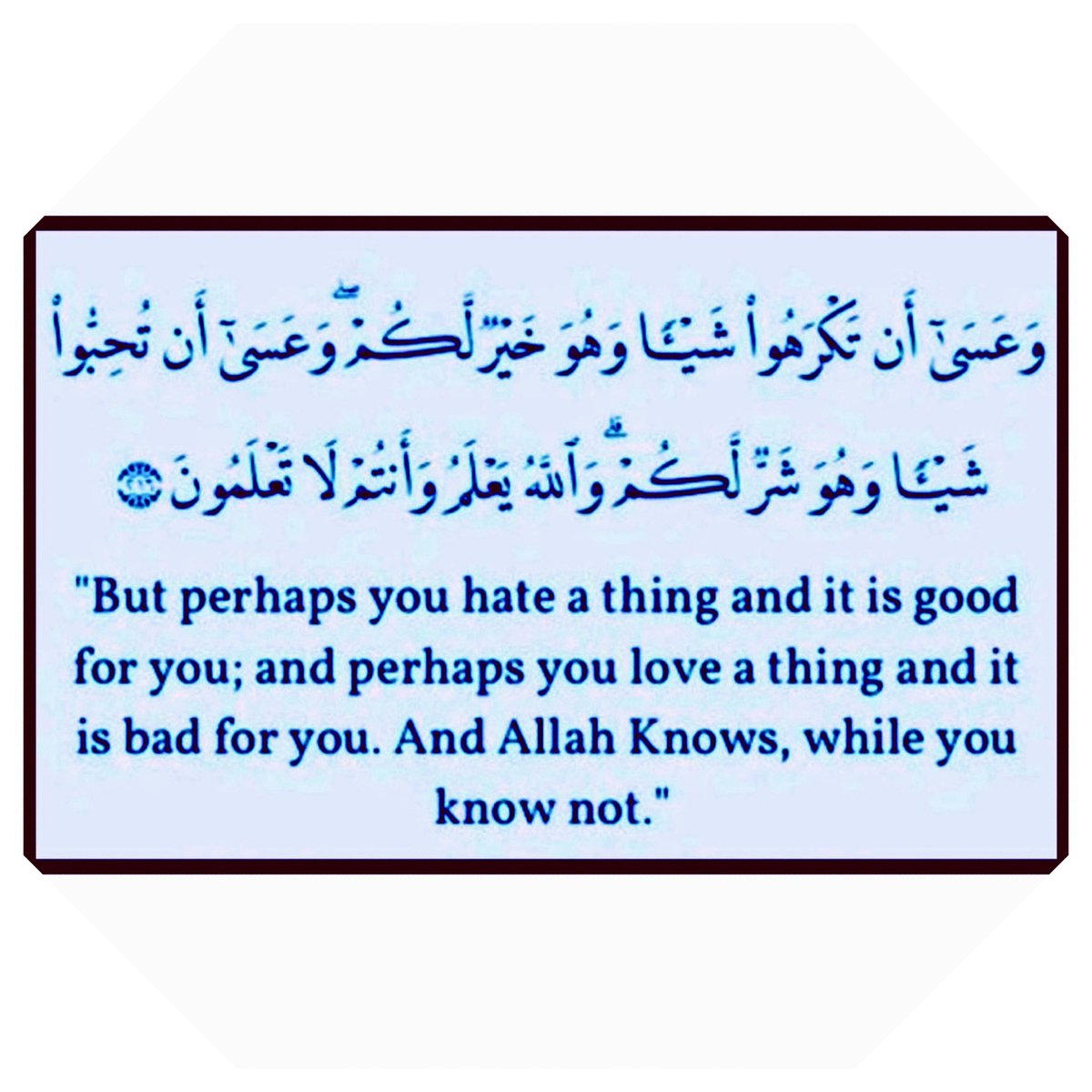 alkhalid_777's tweet photo. https://t.co/XYXkI4Yz1E