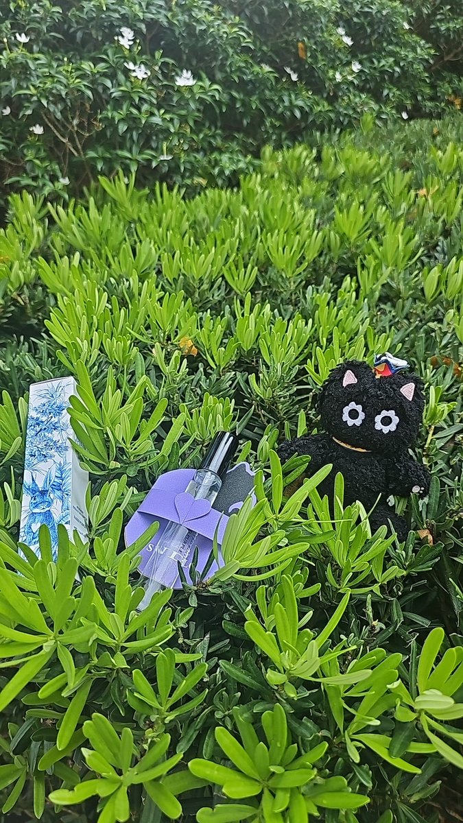 เมื่อกี้ถามคุณเจ้าของแบรนด์จะทำขวดปกติมั้ย คุณเค้าบอกว่าขอดู feedback  ก่อนครับ
 รีวิวกลิ่น สะอาด อิสระ แบบเหมือนอาบน้ำวันละร้อยรอบ
 #10velyxSUNDALO