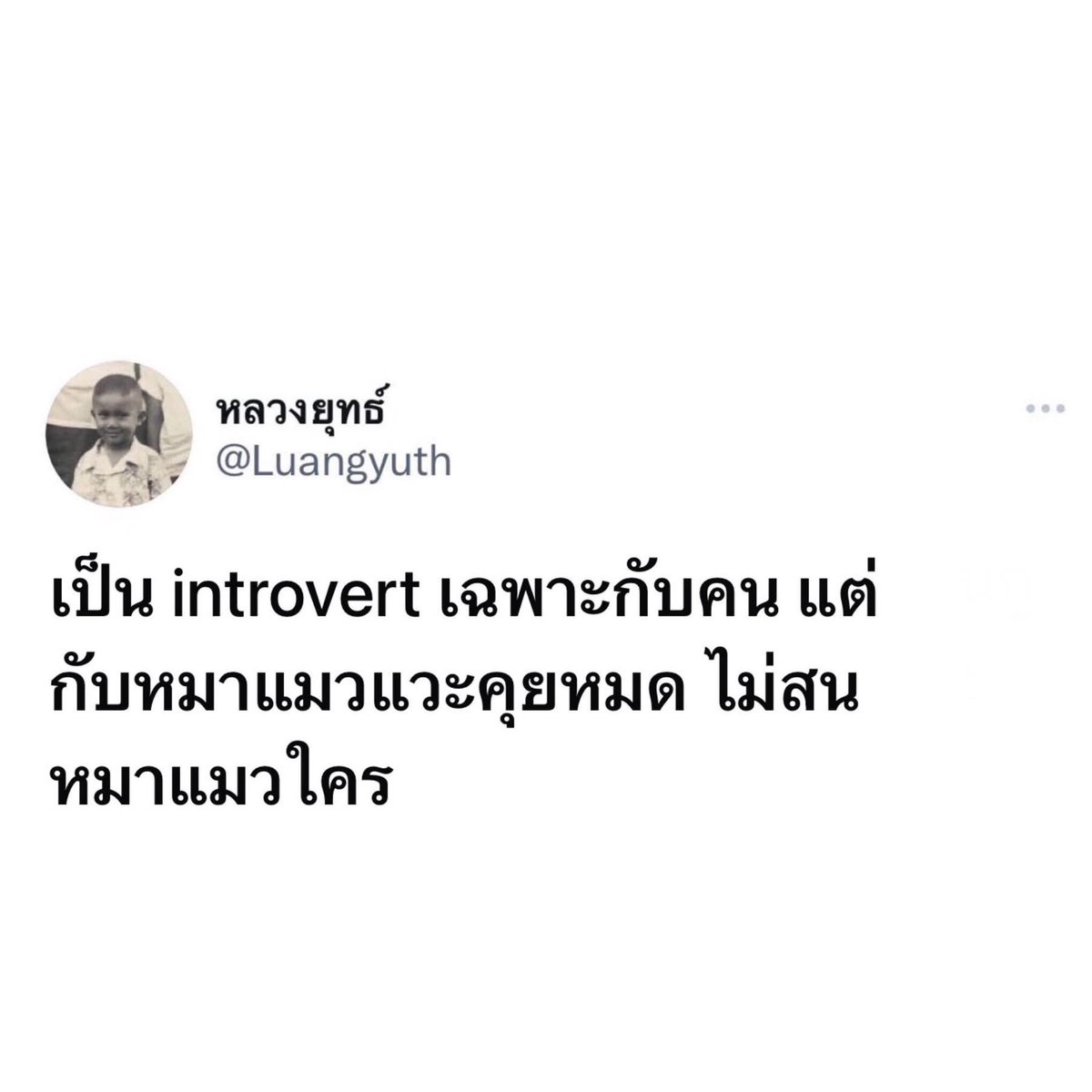 ค่ตจรีง แล้วเป้นไรไม่รุ้ แมวแปกหน้ากุนี่พุ่งเข้าหาเลย แล้วใช้เสียง 2 ในการสื่อสารกับน้อง 555655 🥹