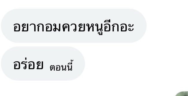 หนูเบื่อ tweet media