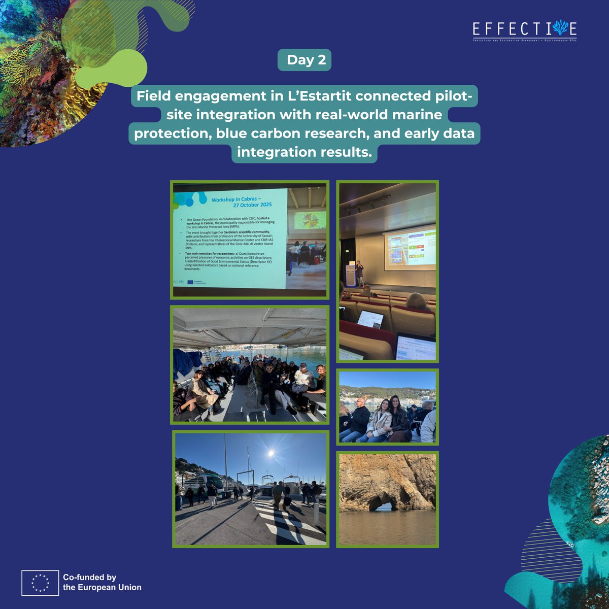 EFFECTIVE-Project tweet media