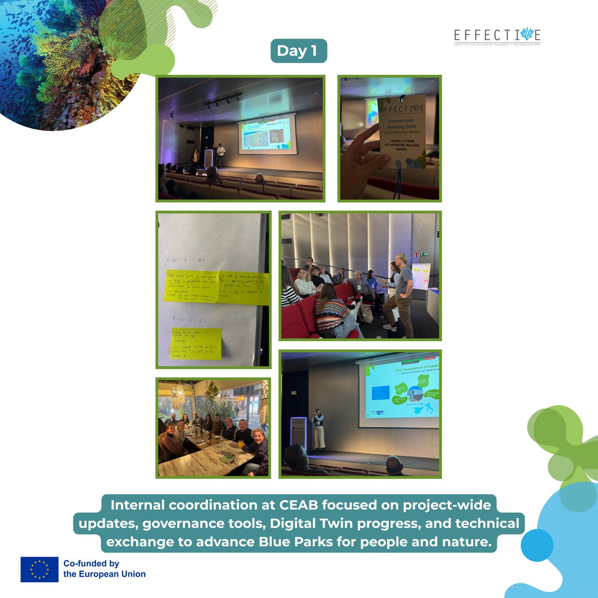 EFFECTIVE-Project tweet media