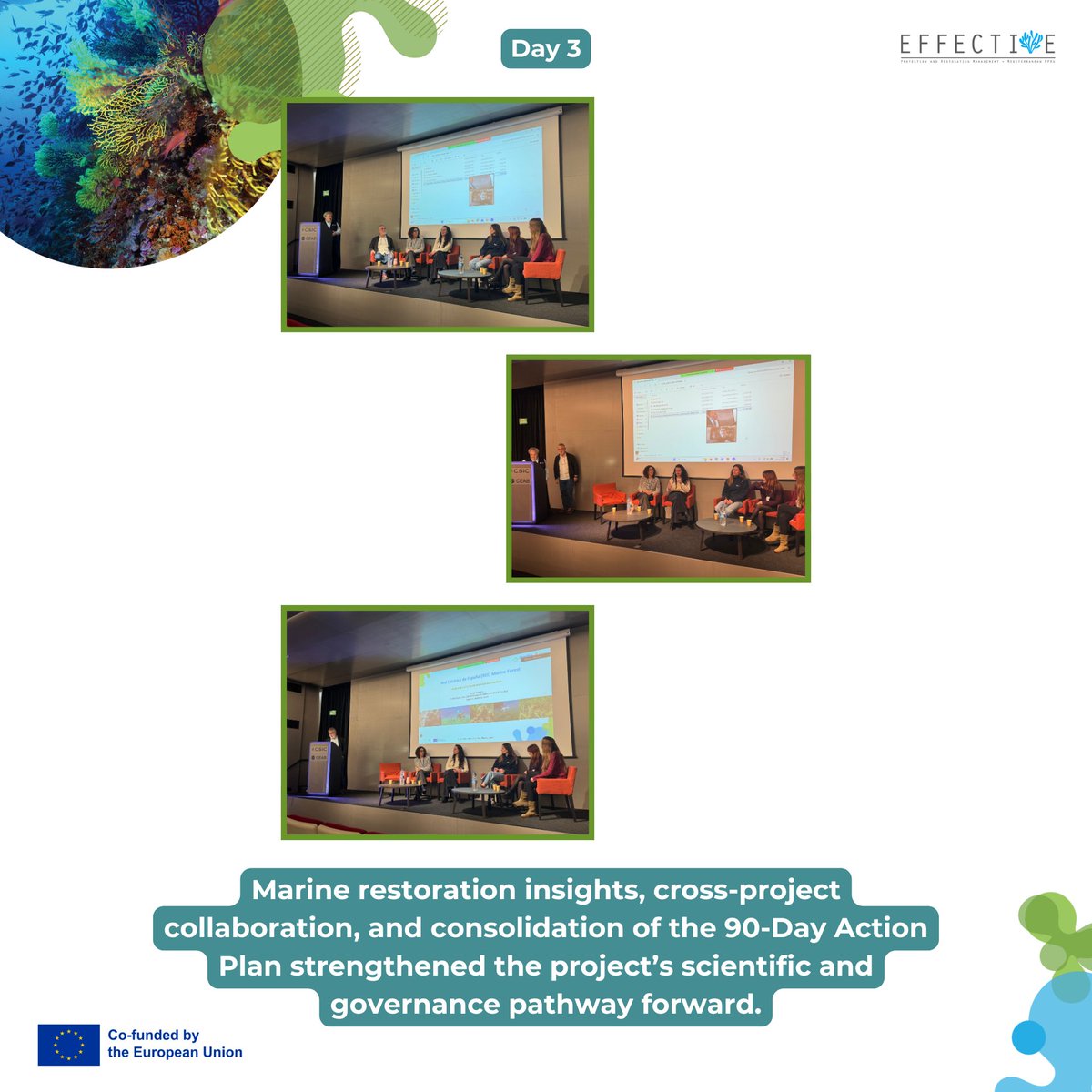 EFFECTIVE-Project tweet media