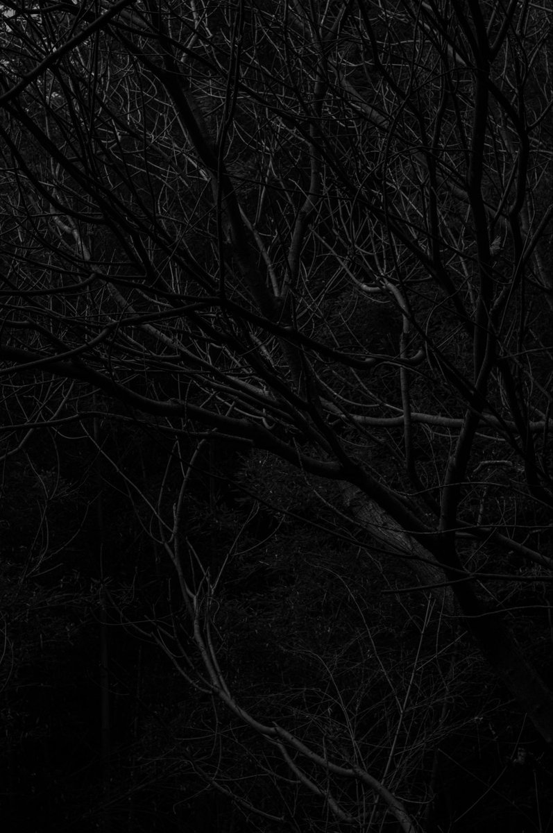 @tomohiro 038 tweet media