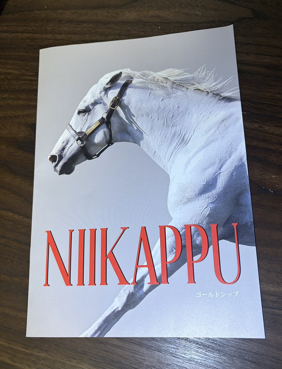 ✨🐴プレゼント企画🐴✨／ ご好評いただいている🆕新冠パンフレット 午