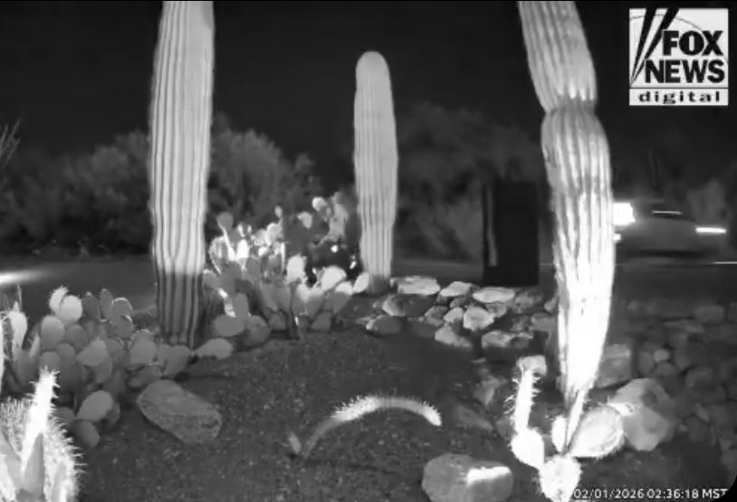 Jennifer Coffindaffer tweet media