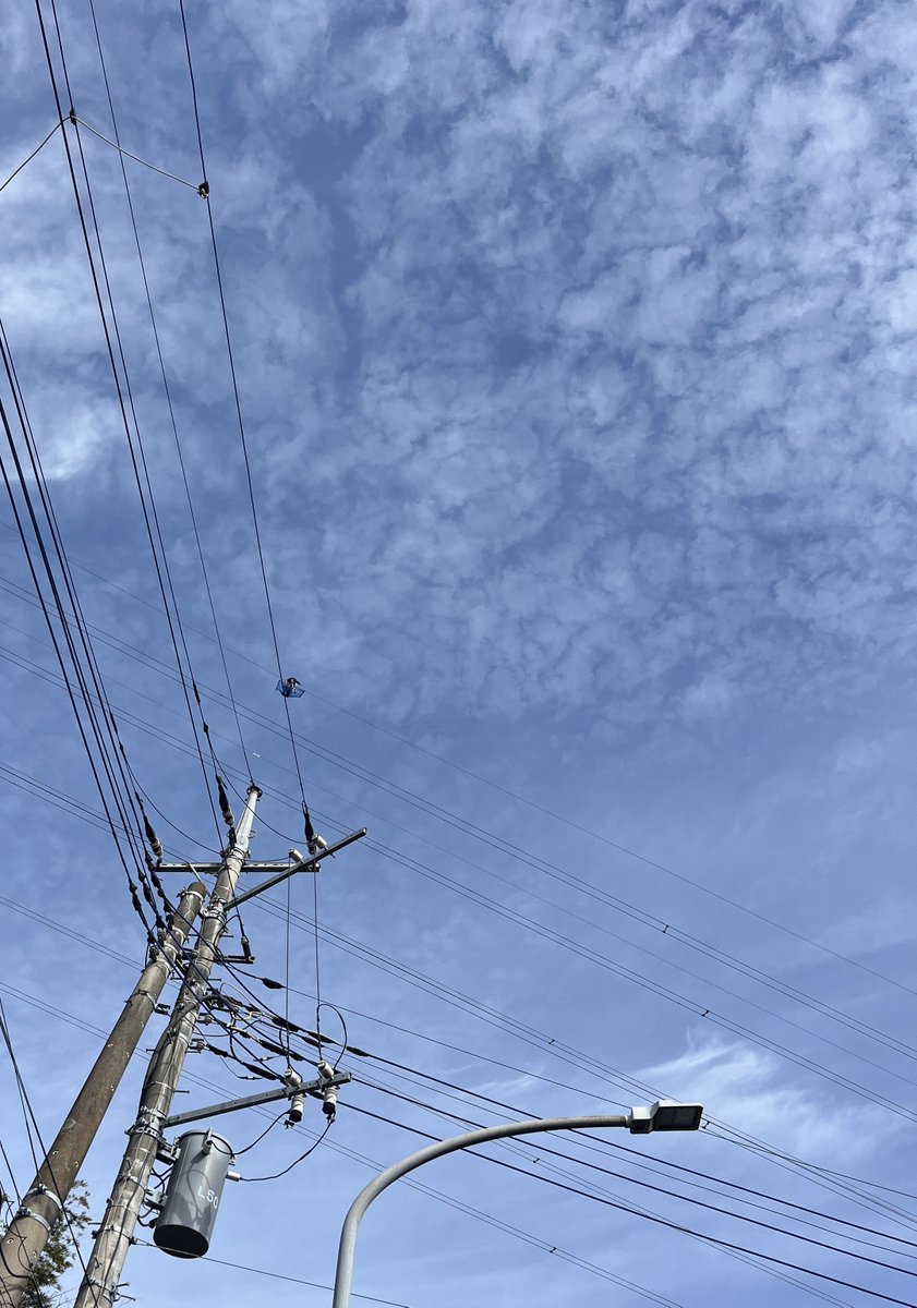 saburo_yao's tweet image. Find the man at work, and be happy!!

#menatwork  #downunder #australia 

youtube.com/watch?v=XfR9iY…