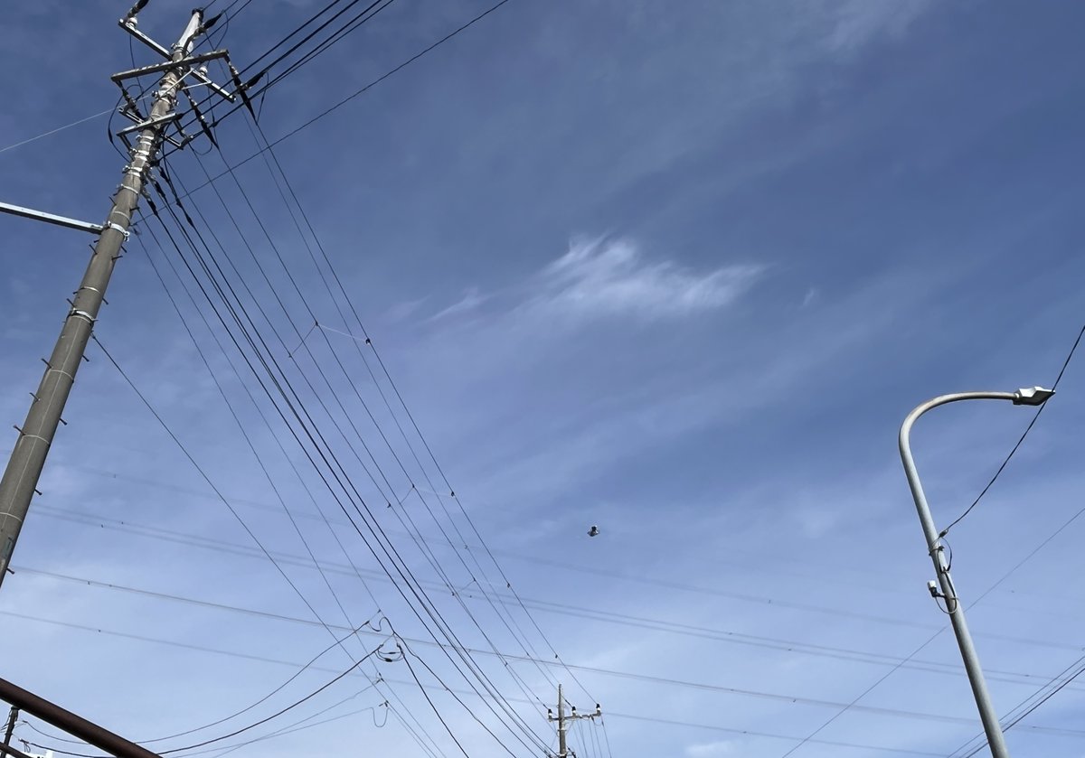 saburo_yao's tweet image. Find the man at work, and be happy!!

#menatwork  #downunder #australia 

youtube.com/watch?v=XfR9iY…