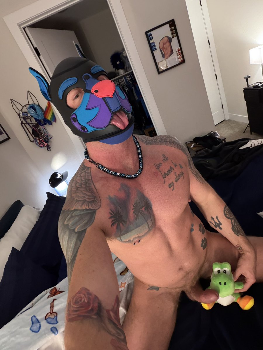 Harlow 🔜AKW 4/16-4/19 tweet media