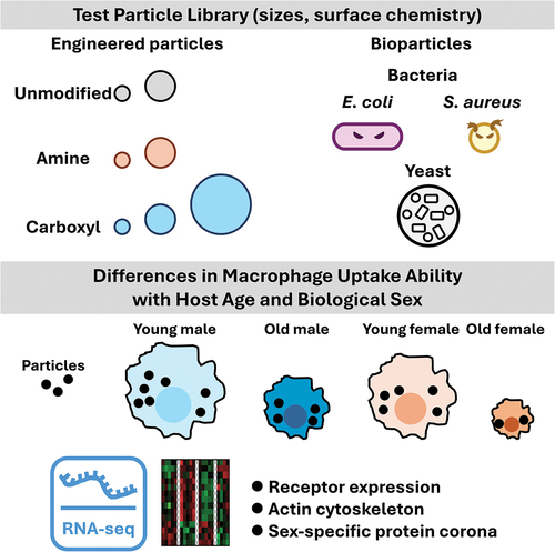 STAM & STAM Methods tweet media
