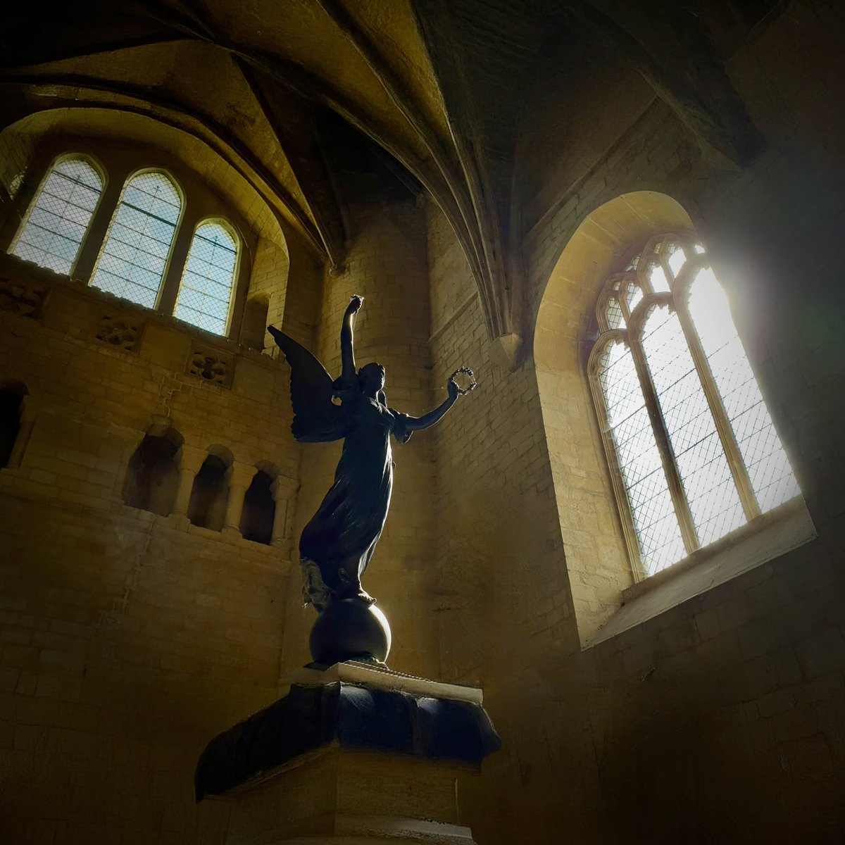 ANÚNA アヌーナ tweet media