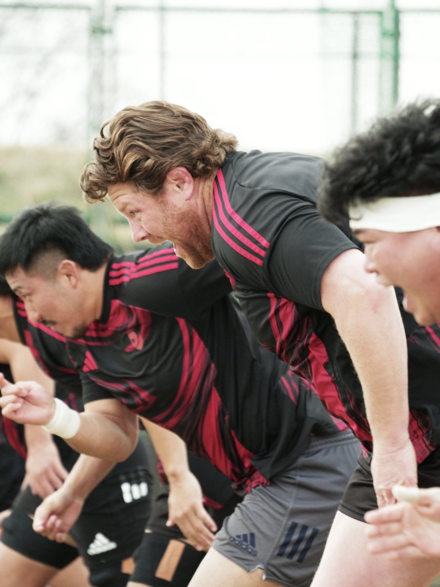 TRAINING PHOTO】 いよいよ明日は #東芝ブレイブルーパス 戦🐏🐺 3連勝