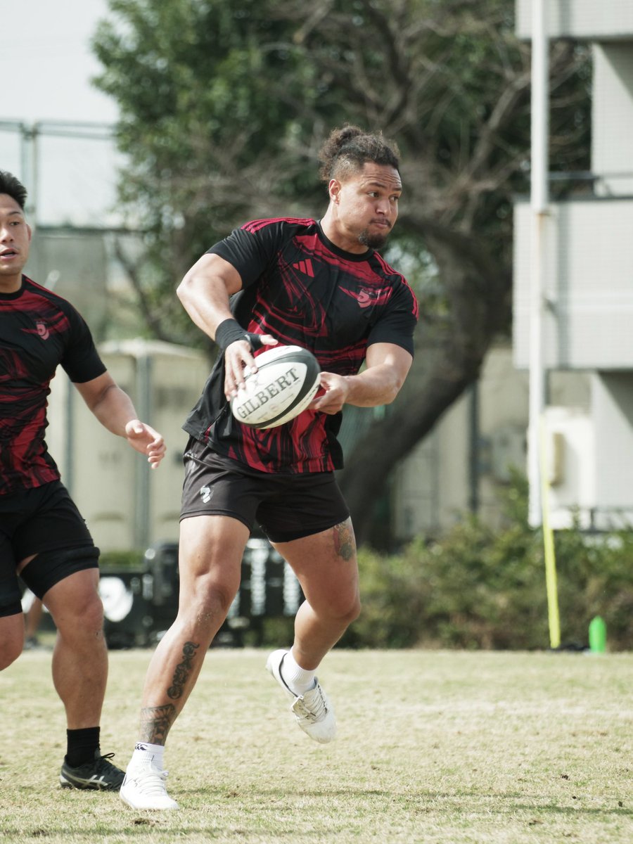 TRAINING PHOTO】 いよいよ明日は #東芝ブレイブルーパス 戦🐏🐺 3連勝